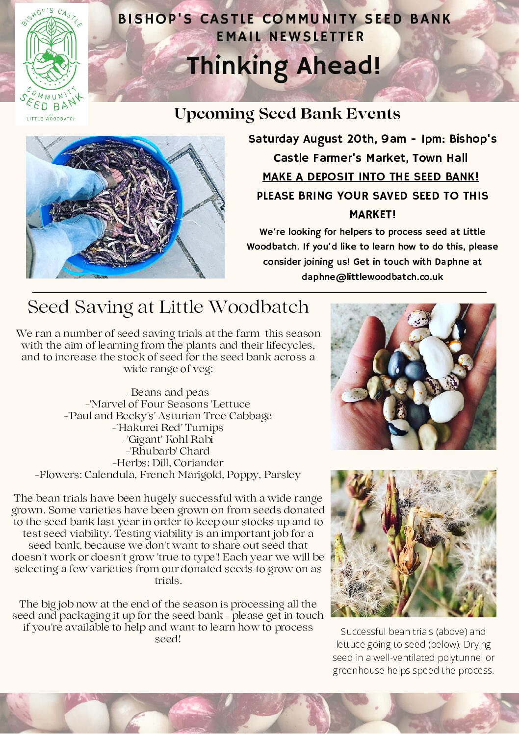 BC Seedbank Newsletter